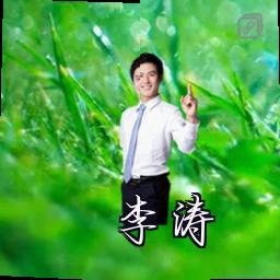 李涛