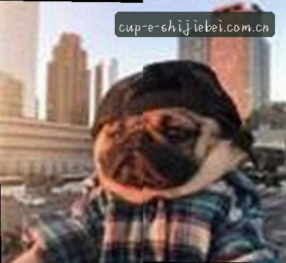 吴强